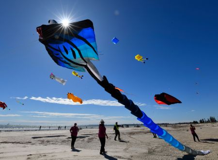 Kites flying at the beach